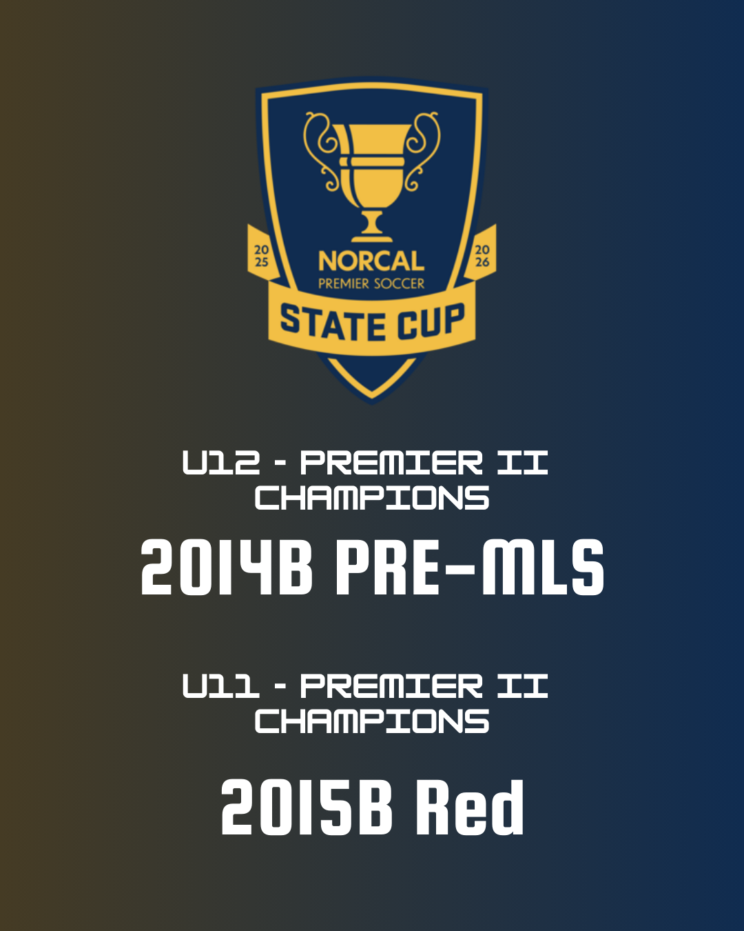 State Cup Champions — Congratulations 2015B Red & 2014B Pre-MLS Next featured image